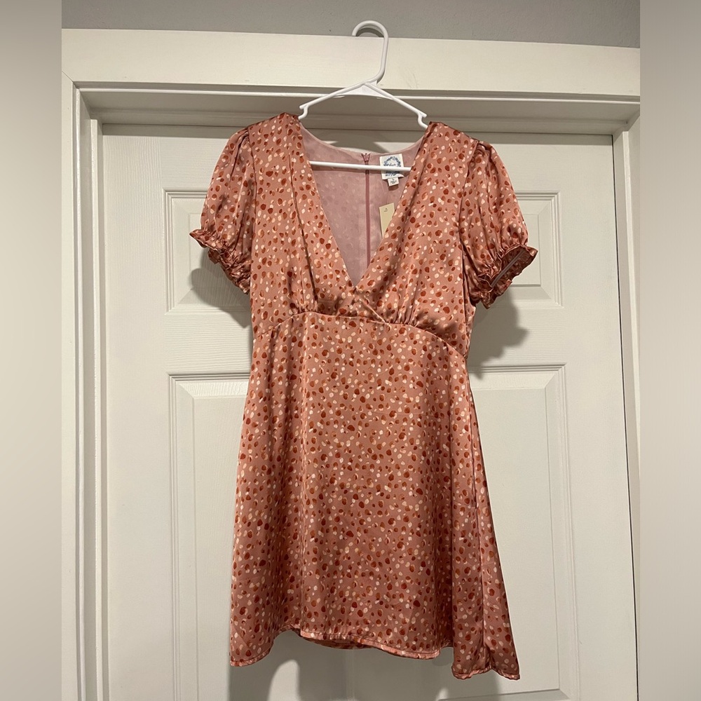 NWT Pinky/Mauve Spotted Dress from Francesca’s